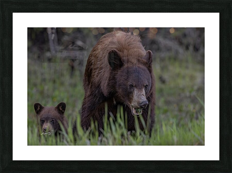 Mom and Cub Picture Frame print