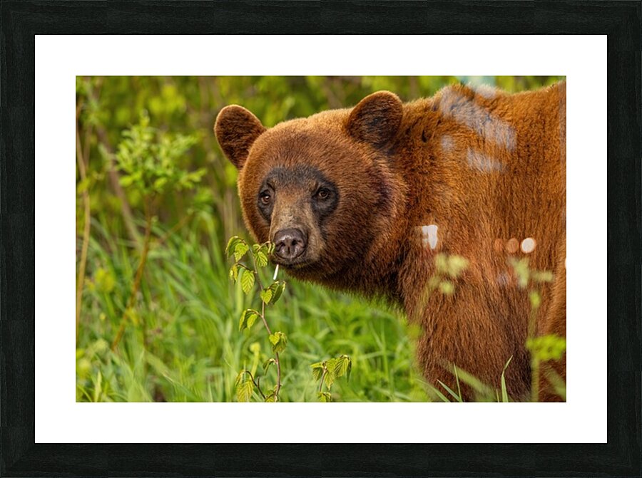 Cool Face Picture Frame print