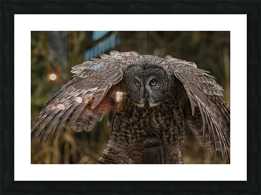 GGO 22 Picture Frame print