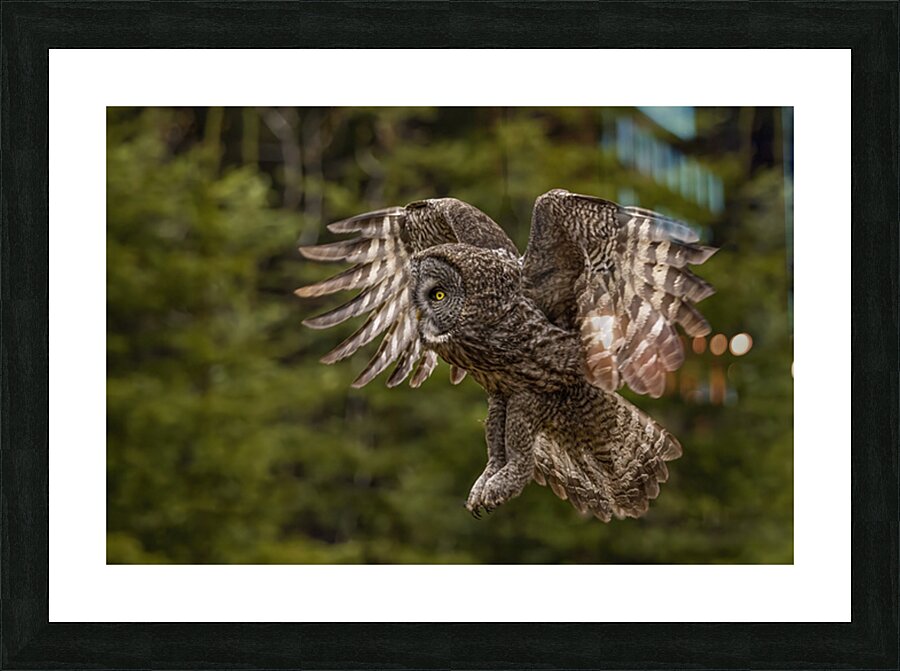 GGO 23 Picture Frame print