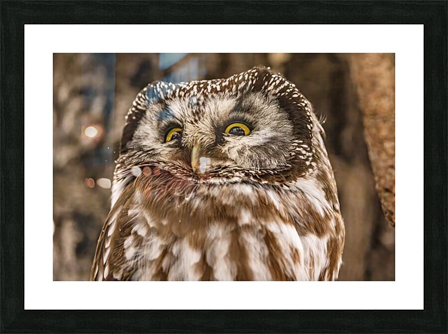 Boreal 2 Picture Frame print