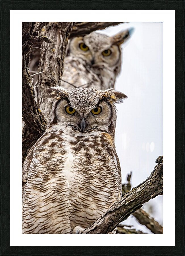 GHO Double Picture Frame print