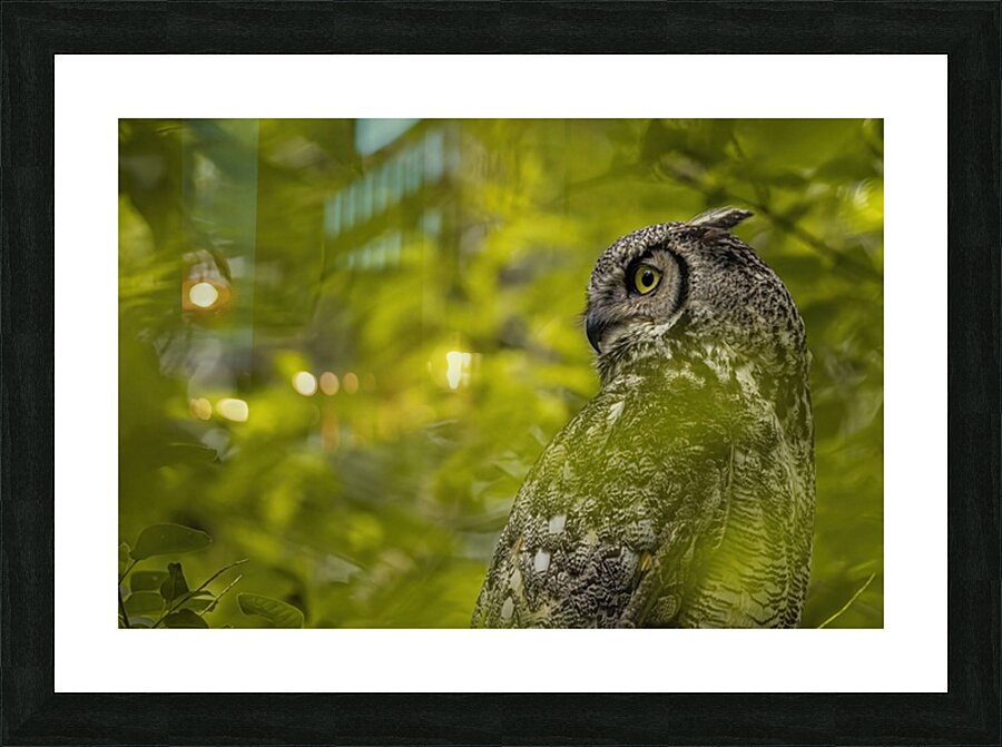 GHO 5 Picture Frame print