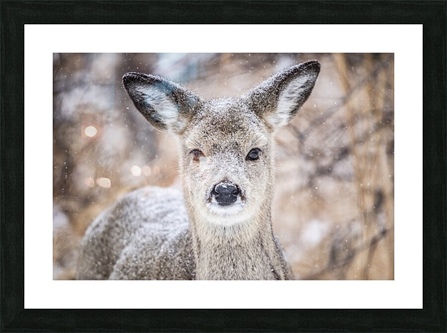 Cute Deer Picture Frame print