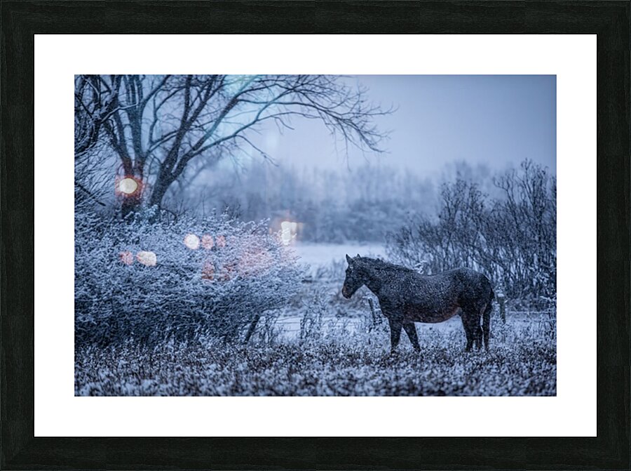 Horse Farm Picture Frame print