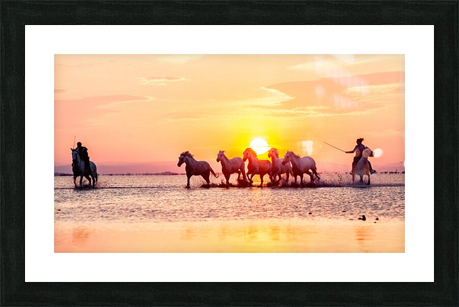 Camargue Horses Sunset Picture Frame print