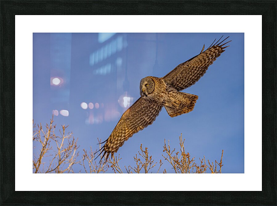 GGO 34 Picture Frame print