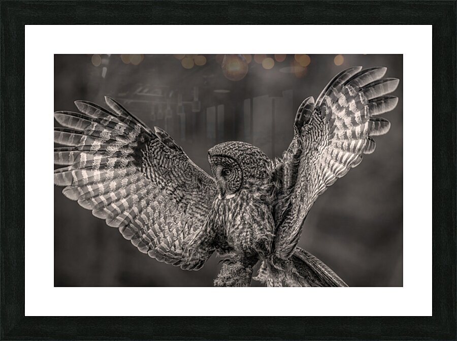 GGO 37 Picture Frame print