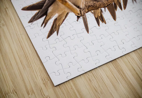 Gathering Ilana Vargulich puzzle