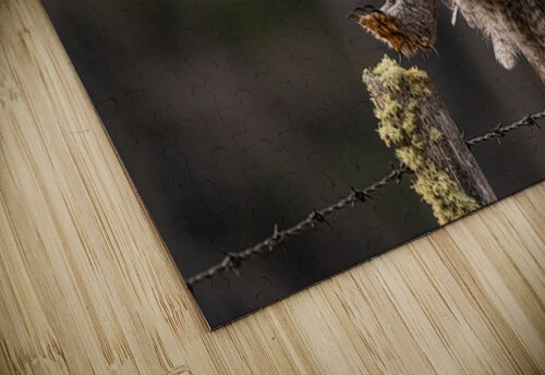 GGO 2 Ilana Vargulich puzzle