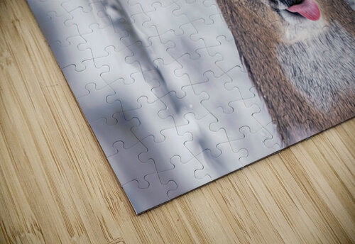 Buck Glancial Blue Ilana Vargulich puzzle