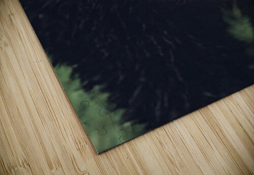 Wild Bear Futuristic Ilana Vargulich puzzle