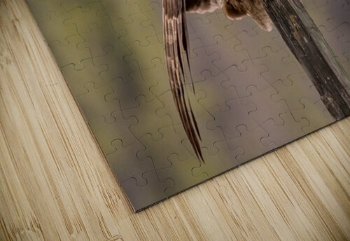 GGO 3 Ilana Vargulich puzzle