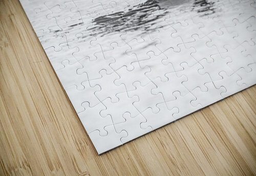 Loon BW Ilana Vargulich puzzle