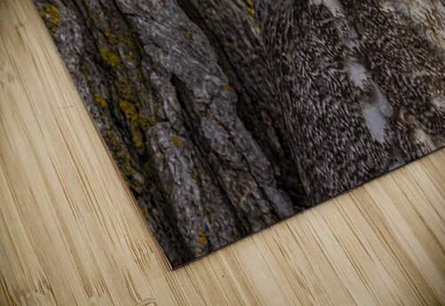 LEO Ilana Vargulich puzzle