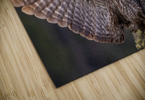 GGO 11 Ilana Vargulich puzzle