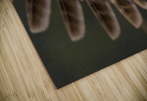 GGO 13 Ilana Vargulich puzzle