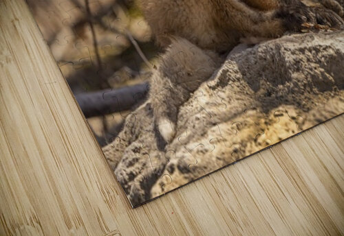 Cute Fox Kit Ilana Vargulich puzzle