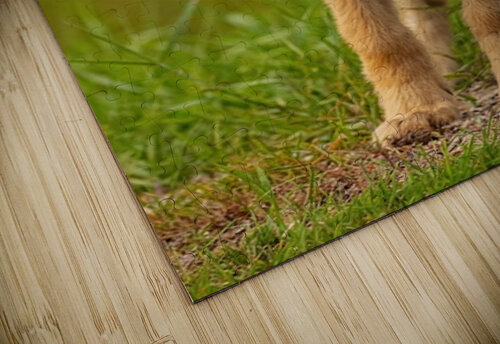 Wolf Pup 2 Ilana Vargulich puzzle