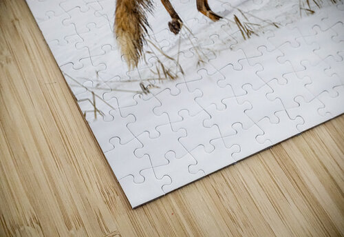 Baby Fox Story Ilana Vargulich puzzle