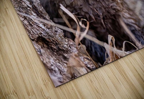 Braveheart 2 Ilana Vargulich puzzle