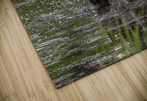 Moose Calf and Mom Ilana Vargulich puzzle