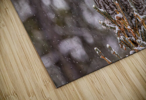 GGO 19 Ilana Vargulich puzzle