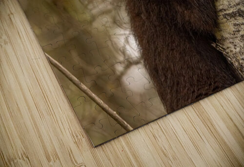 Cute Bear Cub Ilana Vargulich puzzle