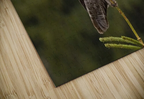 GGO 21 Ilana Vargulich puzzle