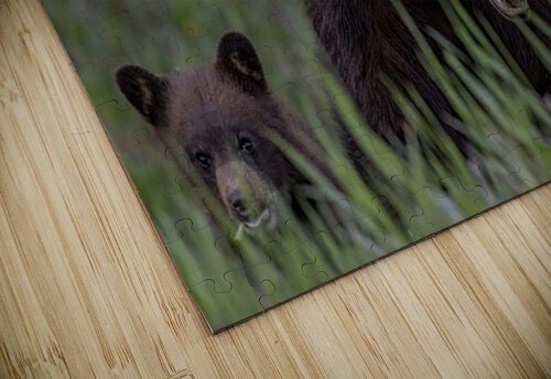 Mom and Cub Ilana Vargulich puzzle