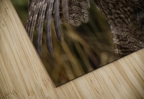 GGO 22 Ilana Vargulich puzzle