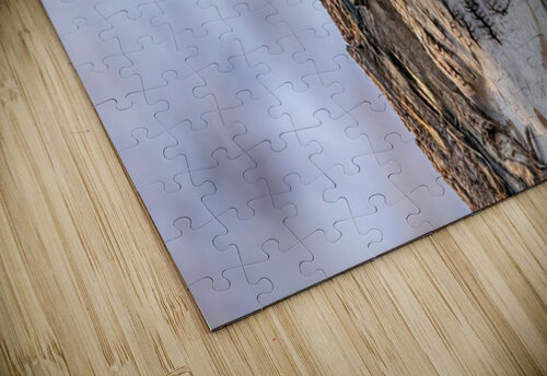 Screech Ilana Vargulich puzzle