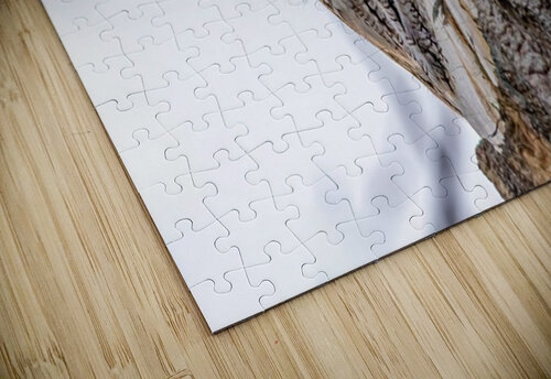 Screech 3 Ilana Vargulich puzzle