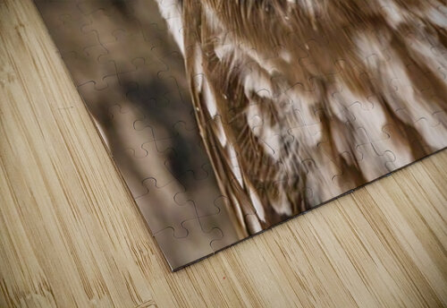 Boreal 2 Ilana Vargulich puzzle