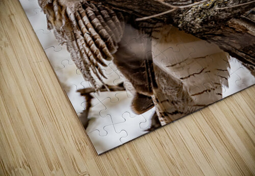 GHO 4 Ilana Vargulich puzzle