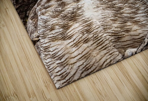 GHO Double Ilana Vargulich puzzle