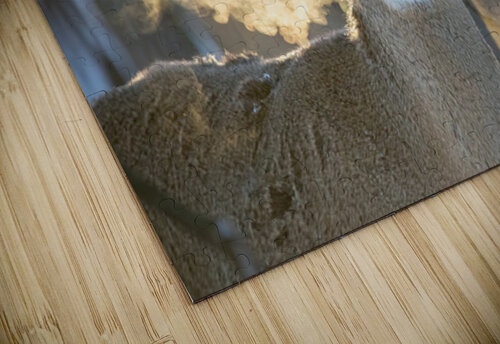 Young Buck Sunset Ilana Vargulich puzzle