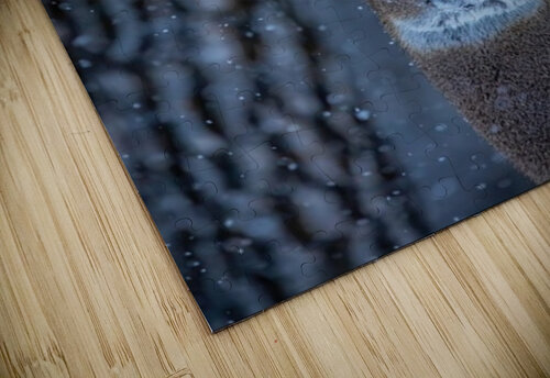 Buck Portrait 2 Ilana Vargulich puzzle