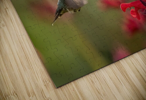 Hummer Ilana Vargulich puzzle
