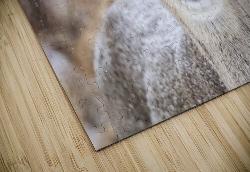 Cute Deer Ilana Vargulich puzzle