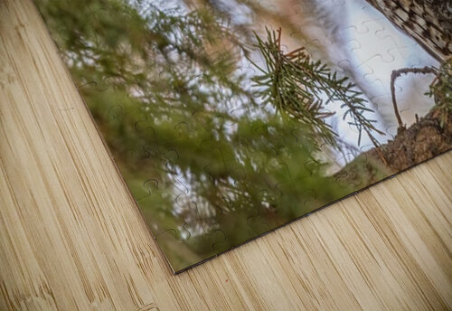 LEO 6 Ilana Vargulich puzzle