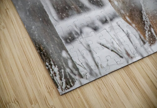 Buck Snowy Day Ilana Vargulich puzzle