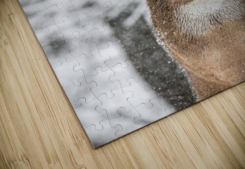 Big Buck Winter Ilana Vargulich puzzle