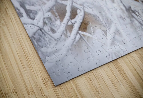 Deer Winter Wonder Ilana Vargulich puzzle