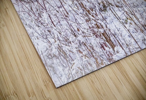 Buck Winter Day Ilana Vargulich puzzle