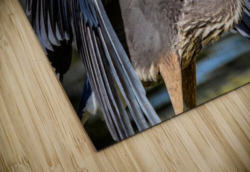 Blue Heron 2 Ilana Vargulich puzzle