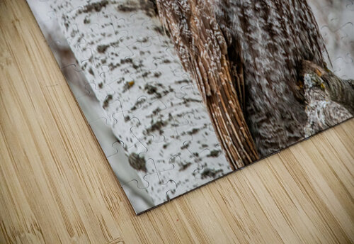 GGO 28 Ilana Vargulich puzzle