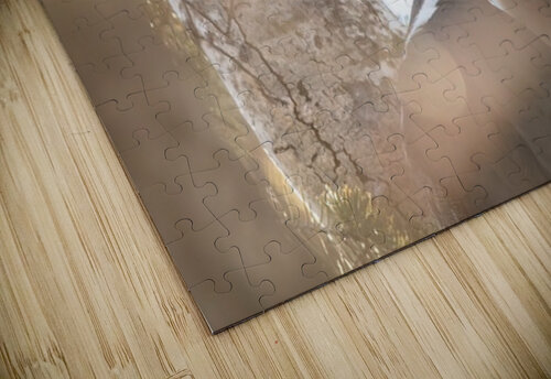 Pileated Woodpecker Ilana Vargulich puzzle