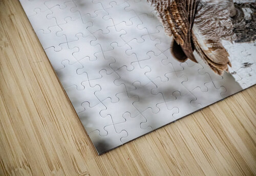 GGO 33 Ilana Vargulich puzzle