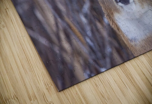 Buck Portrait 3 Ilana Vargulich puzzle